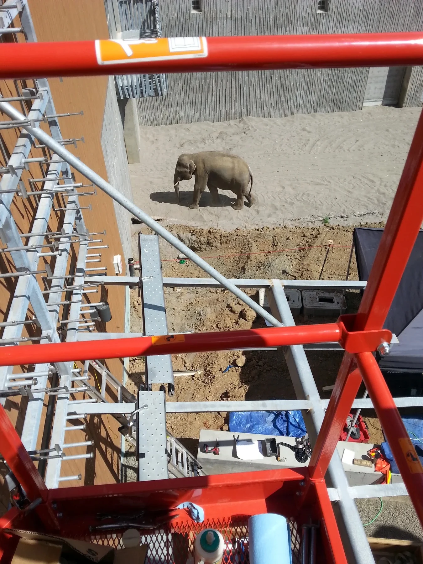 Forest Lights fabrication work at the active Oregon Zoo with an elephant visible nearby
